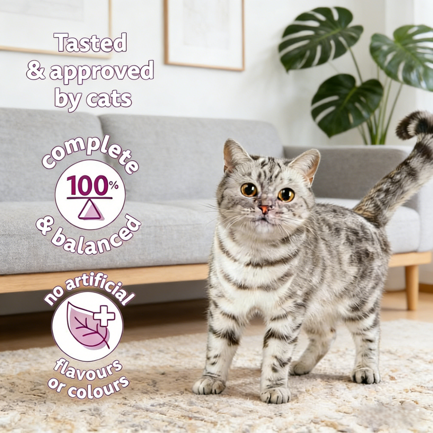 Chicken-Flavored Dry Cat Food (9.1kg Bag) for Adult Cats (1+ Years)