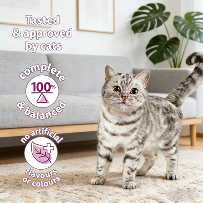 Chicken-Flavored Dry Cat Food (9.1kg Bag) for Adult Cats (1+ Years)